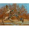 Ryan Kirby Canvas Print Marsh Madness - 400004446154