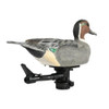 Lucky Duck Swimmer Max Pintail Drake #21-10925-0 - 605093109250