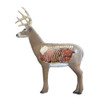 Delta McKenzie Big Daddy Buck QuivAR Enabled Pro 3D Target #51510 XRAY - 090766515108