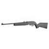RUGER 10/22 - Long Rifle  #32002 - 736676320028