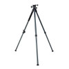 Bog Pod Bantam Tripod  #1239241 - 198700005378
