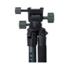 Bog Pod Bantam Tripod  #1239241 - 198700005378