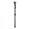 Bog Pod Bantam Tripod  #1239241 - 198700005378