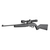 Ruger 10/22 Scoped Rifle  #32003 - 736676320035