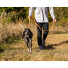 ROCT OUTDOOR Trailhead Padded Dog Leash w/ Heel Handle  #THL100 -