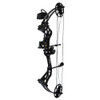 Bear Shootout RTH Bow  #AV62A21 -