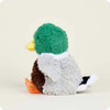 Warmies Mallard #CP-MALLARD - 810158264403