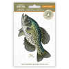 Casey Underwood Artwork -Decal Black Crappie #DBLKCRP5 - 741754933908
