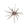 Hags Prickly Pear Jr 9.9mm - Hags Pumpkin #HAGPPJ7981 - 732388247981
