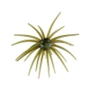 Hag's Prickly Pear 19mm Creature Bait -Texas Starlight #HAGPP3587 - 732388243587
