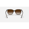 Ray-Ban Havana Gradient Brown / Light Brown #0RB4378-710/13 - 8056597626897