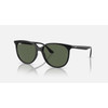 Ray-Ban Havana Black / Dark Green #0RB4378-601/71 - 8056597626859