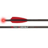 Victory Xbolt 22" Lighted 3-pack 2" Vanes Lighted #XBOLTS-22FXGL-3 - 811870046834