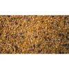 Big Tine Octane 25lb - Octane Feed #BT76 - 01595899437