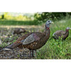 Avian-X LCD Lookout Hen Turkey Decoy # 8006 - 810280080063