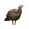 Avian-X LCD Breeder Hen Turkey Decoy # 8008 - 810280080087