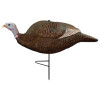 Primos Gobbstopper Hen Decoy - Model #69065 - 010135690656