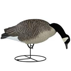 Dakota Decoy Signature Series Feeder Geese 6 Pack 19200 GameMasters