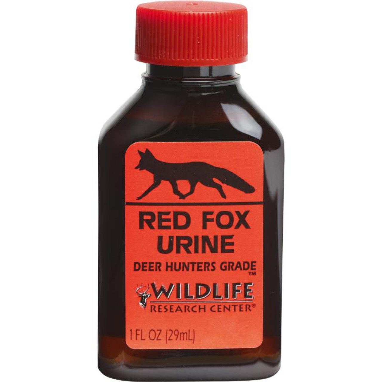 fox urine