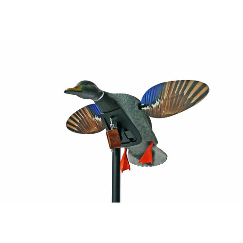MOJO Elite Series - Mini Mallard Drake w/ Remote #HW2487 - 816740004099