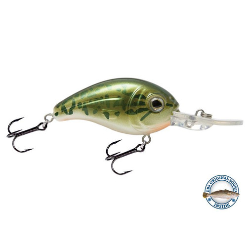 Livingston Dive Master JR 8 #6101 -