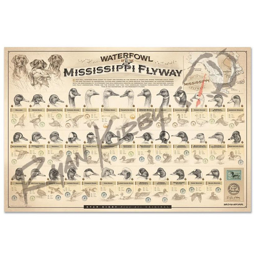 Ryan Kirby Paper Print Waterfowl Of The Ms Flyway - 400004446208