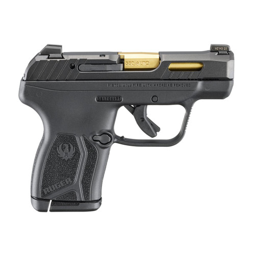 RUGER LCP MAX - 380 ACP #13766 - 736676137664