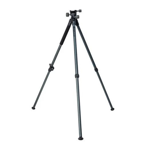 Bog Pod Bantam Tripod  #1239241 - 198700005378