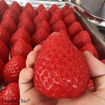 Squishy Toy - Big Red Strawberry  #BH052148-P3 - 400004622671