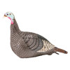 Strut-Lite Hen Turkey Decoy #100001