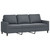 2 Piece Sofa Set with Cushions Dark Gray Velvet A949-3201517