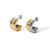  Earrings SE0010