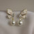  Earrings CE0071