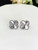  Earrings SE0088
