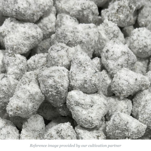 Temp Orange Juice THCA Snow Caps - BIGs - product image