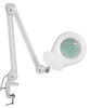 Magnifying Lamp