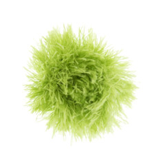 Mendota Pet - OoMaLoo Cat Ball Toy - Green.jpg