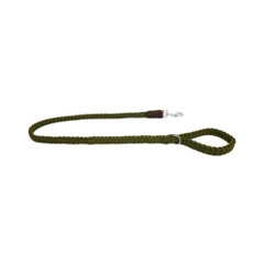 Alpen Schatz - Soft Braided Leash Green.jpg