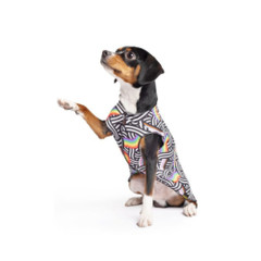Goldpaw - Sun Shield Dog T-Shirt - Pride.jpg