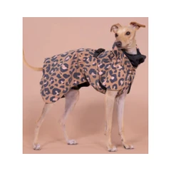 Paikka - Visibility Raincoat Lite for Dogs (3).jpg