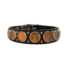 RN Design - Dog Collar - Heads & Tails  Pennies _ Chocolate 1'' x 20''.jpg
