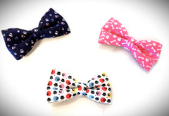 Bow Tie photo.jpeg