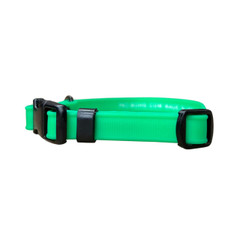 Pro-Mohs Pet Products - Biothane Thin Adjustable Dog Collar 3_8” x 8”-12” - Lime Green.jpg