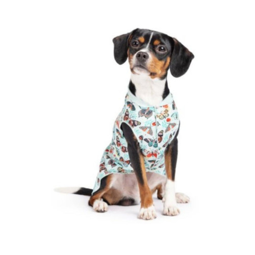 Goldpaw - Sun Shield Dog T-Shirt - Butterfly_Moth.jpg