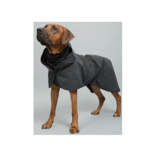 Paikka - Visibility Dog Winter Jacket - Black.jpg