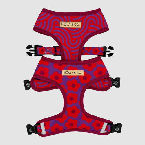 Molly & Co Reversible Dog Harness - Mon Cheri - Medium.png