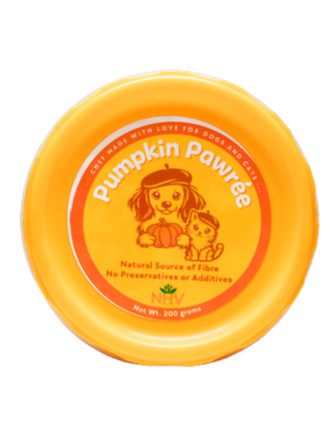 Front of pumpkin pawree