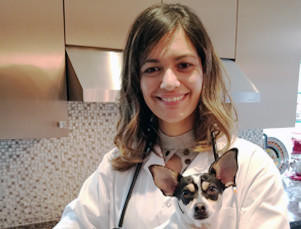 Veterinarian Consultation - Dr. Amanda
