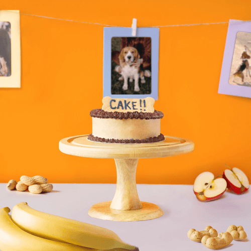 Cake me home