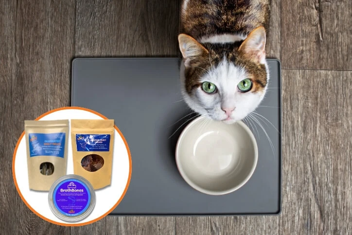 food & treats